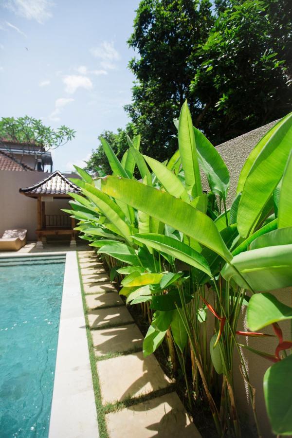 Donguri House Bali Bed & Breakfast Jimbaran Dış mekan fotoğraf
